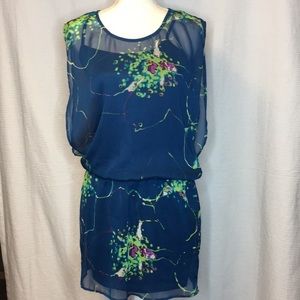 Express women’s dress